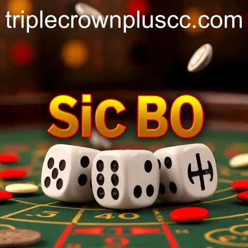 Sic Bo: Unraveling The Mystique of TripleCrownPlus